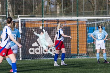 Bild 140 - F Hamburger SV 3 - Blau-Weiss 96 : Ergebnis: 5:1